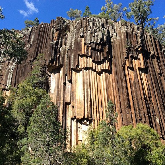 Organ Pipes National Park